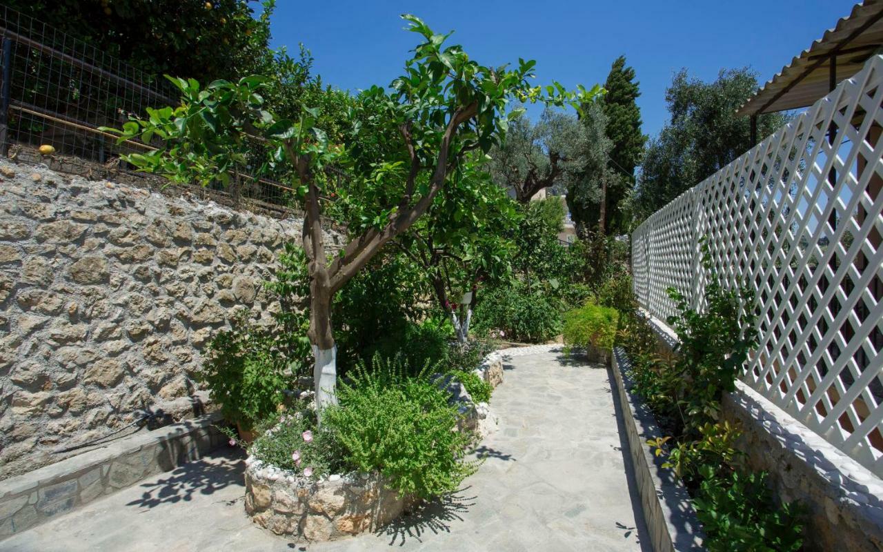 Thalassa Studios Paleokastritsa Exterior photo